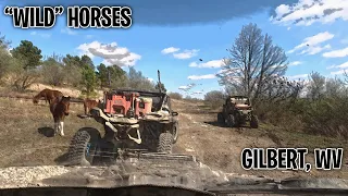 "Wild" Horses | Can Am | X3 | XXC | Hatfield McCoy | Outlaws