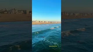 Surfing in Los Angeles on sunset