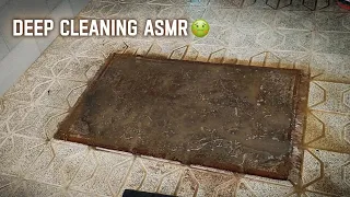 steam cleaning carpet satisfying - washing asmr- deep cleaning carpet asmr