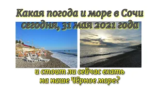 Какая погода и море в Сочи сегодня, 31 мая 2021 года и стоит ли сейчас ехать на наше Чёрное море?
