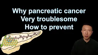 Understanding Pancreatic Cancer: Symptoms, Risks, and Prevention Tips | Expert Insights