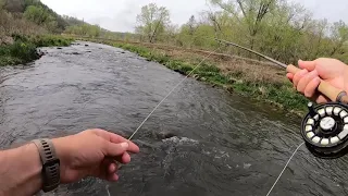 Waterloo Creek, Iowa Driftless Part 2