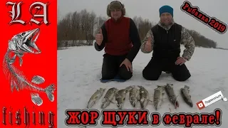 ЖОР ЩУКИ в феврале! Щука начала клевать! Щука в глухозимье! Рыбалка 2019.