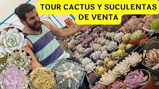 TOUR por el vivero Suculentas y Cactus venta Noviembre / Vivero suculento