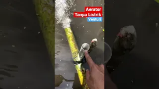 🤩Aerator Tanpa Listrik! Oksigen Melimpah, Ikan Sehat & Cepat Besar! #shorts #budidayaikan