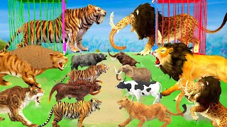 10 Giant Tiger vs 10 Monster Lion Mammoth Attack Cow Buffalo Goat Rescue Saved By Mammoth Elephant