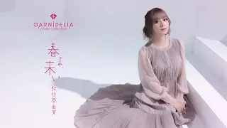 春よ、来い / 松任谷由実 [Covered by GARNiDELiA]