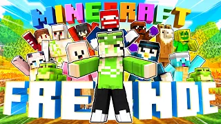 MINECRAFT FREUNDE 2