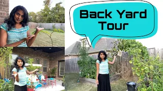 Back yard Tour in America | Garden Tour | Gardening Tips | Growing Indian vegetables in usa | zone 6