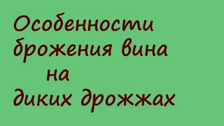 Брожение вина на диких дрожжах. Особенности процесса