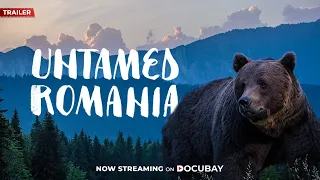 Untamed Romania - Documentary Trailer | #DocuBay