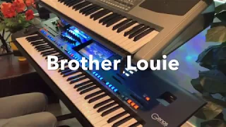 BROTHER LOUIE - Modern Talking - Cover on Yamaha Genos
