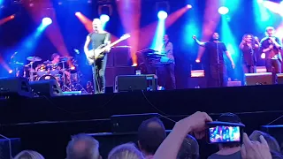 Sting So lonely here in Groningen gitaarsolo #stadsparklive