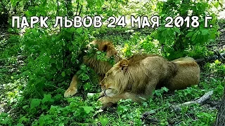 ПАРК ЛЬВОВ 24 МАЯ 2018 Г.