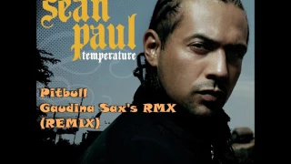 Temperature - Sean Paul  ft.Pitbull (REMIX)