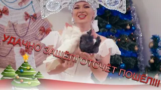 А это я удачно зашел! Марина Король ПРОМО Новогоднего Шоу