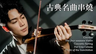 Classical Music Violin Medley | BoyViolin Cover