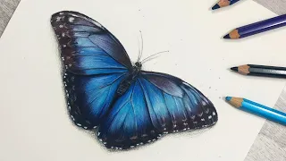 How to Use WATERCOLOUR PENCILS | Blue Butterfly Tutorial