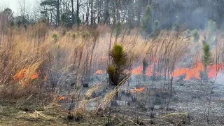 Control burn Windsor Castle, long time project 2/22/24