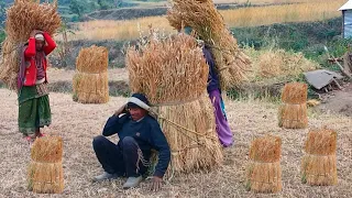 Rural life of simple the Nepali Himalayan village life || Daily Routine of Nepali village lifestyle