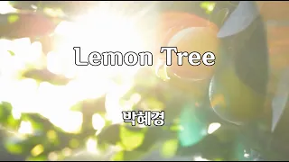 Lemon Tree 레몬트리 박혜경 #레몬트리 #박혜경 #2008년 #7080가요산책 #신곡 #트로트 #포크 #가수 #노래방 #가사 #음악 #여행 #쇼츠 #shorts #연속재생