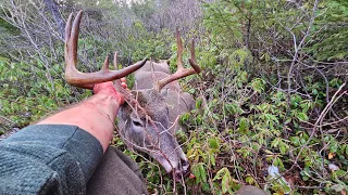 Deer Hunt 2023 Whitetail Deer Season in New Brunswick