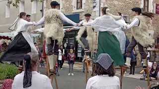 Les échassiers de la fête de la fraise 🍓 et des fleurs 2024. A Vergt