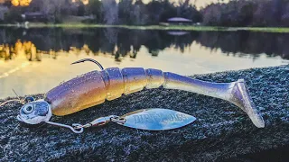 Finding Fish In A New Lake! ( This Crazy Pattern Worked!! )