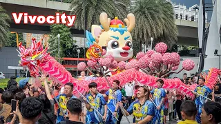 Auspicious Dragon Dance Performance, Chinese New Year 2024. Vivocity Singapore