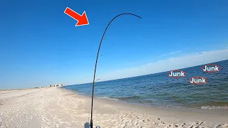 SURF Fishing the Alabama GULF Coast in Late Summer 2021 *NEW Species on Channel