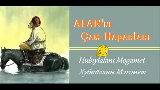 Alan'nı Çam haparları