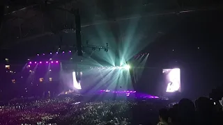 Avicii Tribute concert 2019 - David Guetta Levels