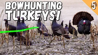 Bowhunting a HUGE FLOCK! (Perfect Bow Shot!!!) | Nebraska Turkey Hunting