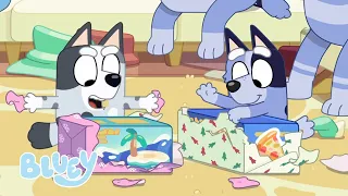 Christmas Swim! | Bluey Christmas | Bluey