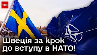 ❗ Майже в НАТО! Що заважало Швеції останній рік?