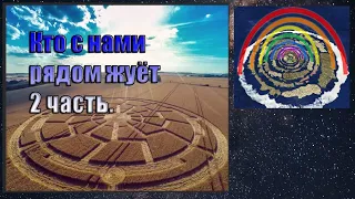 Кто с нами рядом жуёт. 2 часть. Вячеслав Котляров.