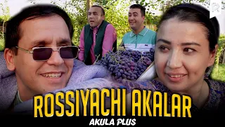 Akula Plus - Rossiyachi akalar (hajviy ko'rsatuv)