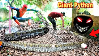 Brave Hunter Rescues Spider-Man Attacked by a Giant Snake | Giant Snake