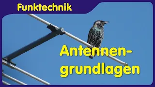Antennas basic terms - characteristics, alignment, antenna gain
