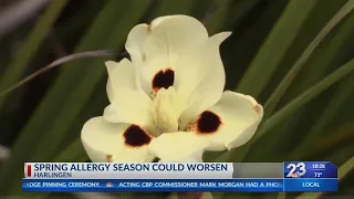 Spring allergy season could worsen, experts say