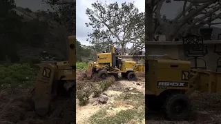 STUMP GRINDER