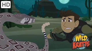 Wild Kratts - The Wildlife Adventure | Kids Videos