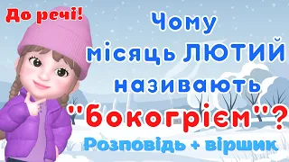 Чому місяць лютий називають "бокогрієм"? Дітям про природу☀️