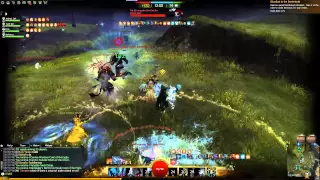 Guild Wars 2 World Guardians [WvW] vs Far Shiverpeaks [PAIN]