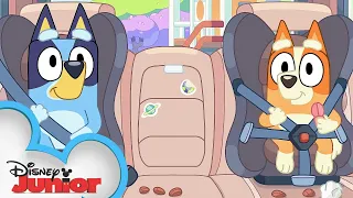 Bluey Season 3 Episode 42 "Show and Tell" Episode Clip | @disneyjunior x @BlueyOfficialChannel