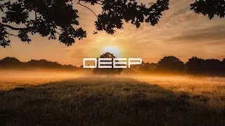 [Tinlicker, Ben Böhmer, Adriatique, Helsloot, Rüfüs Du Sol, Yotto and more] DEEP XI by markQ