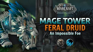 Mage Tower Feral Druid - Dragonflight Gear / No consumables / No Legacy Trinkets