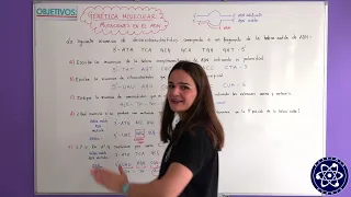 16. Genética Molecular y mutaciones. Ejercicio clásico