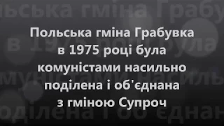 РКГУ з Пьотром Тодорчук (експерт з питань місцевого самоврядування. Польща. м. Бялосток) 3 06 17