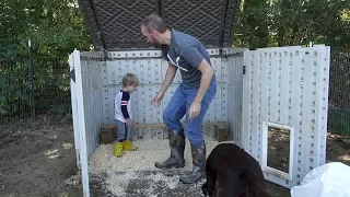 Teaching Clark How To Clean The Chicken Coop